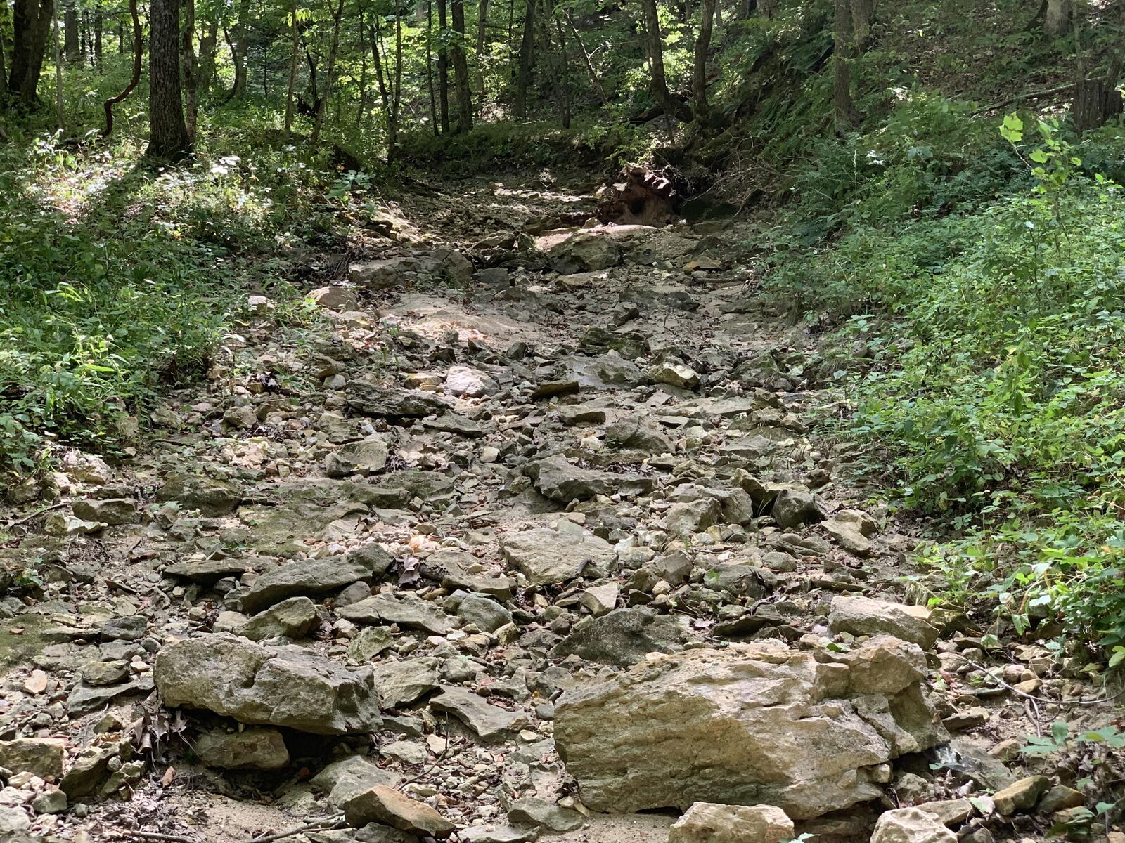 Property Photo:  Branch Road  MO 65251 