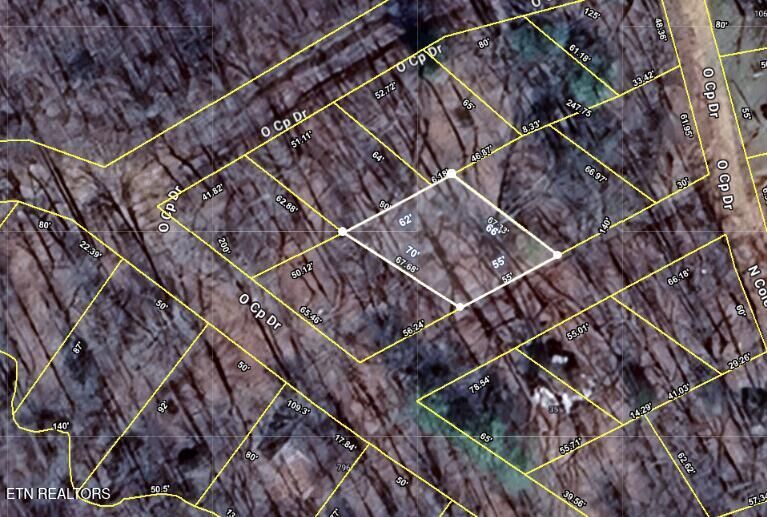 Property Photo:  0.08 Ac Bilbrey St  TN 38572 