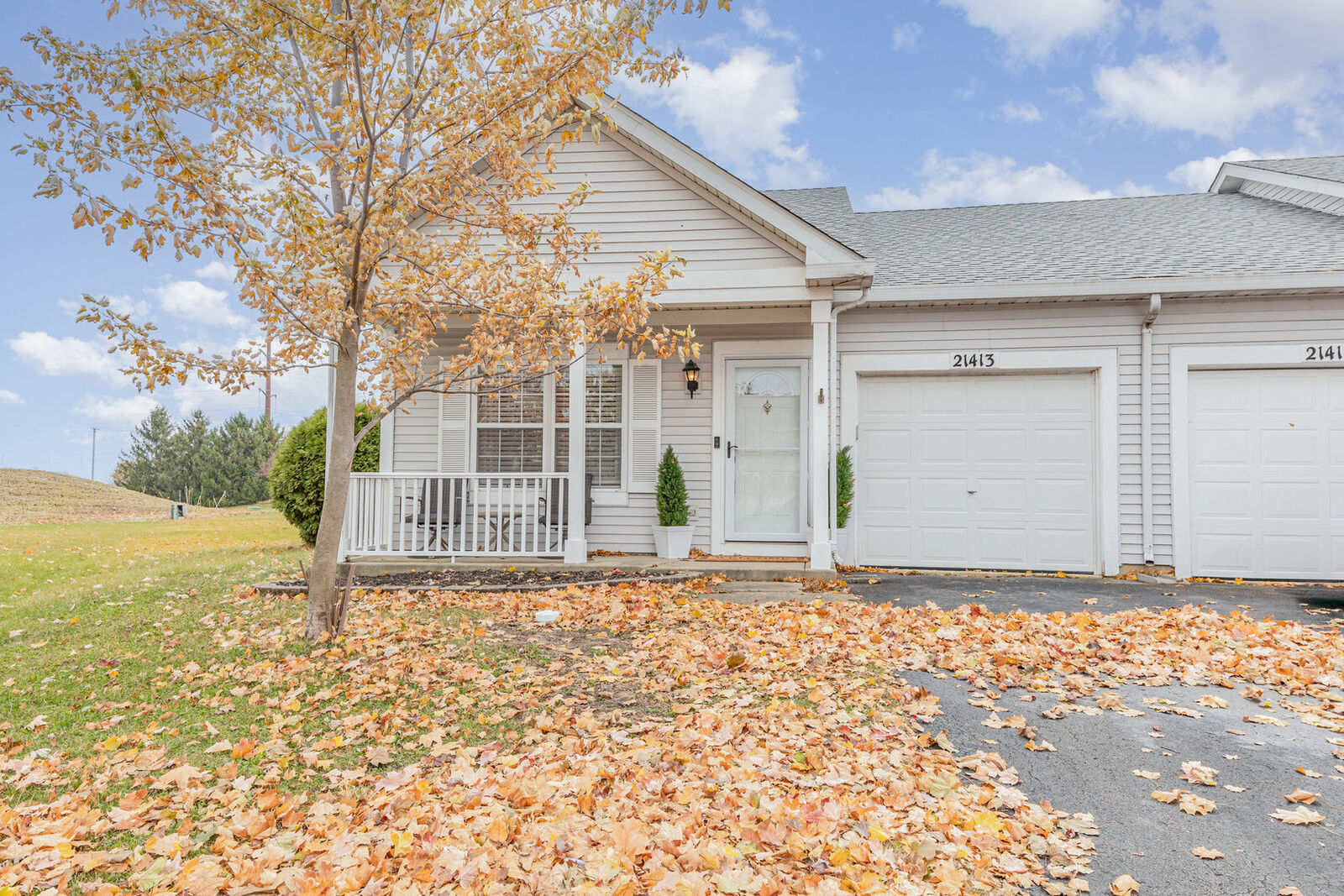 Property Photo: 21413 Frost Court IL 60544