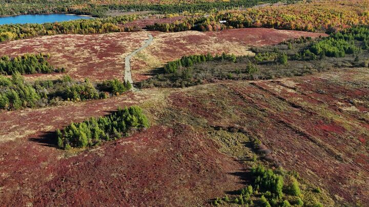 Property Photo:  Bengal-Oceanview Road  NS B1K 2J5 