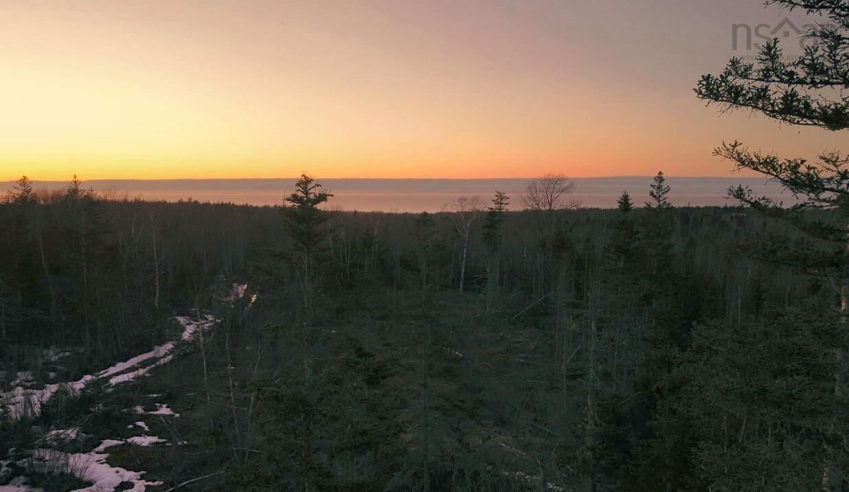 Property Photo:  Lot Forest Glade Road  NS B0S 1N0 