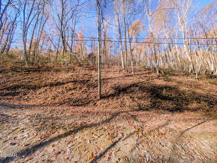 Property Photo:  Lot 1272 Raymond Hollow Road  TN 37876 