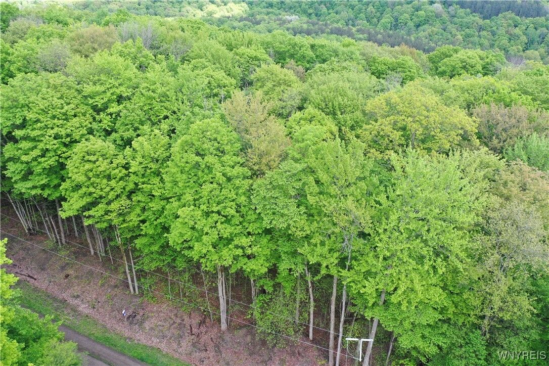 Property Photo:  0 Dublin Terrace  NY 14779 