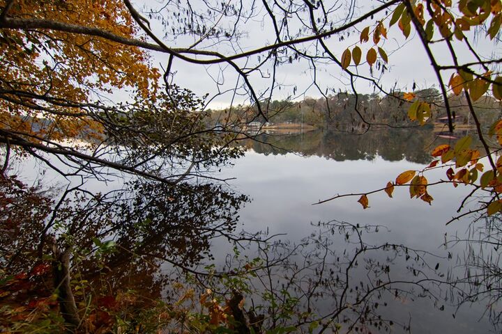 Property Photo:  0 Pine Lake Drive  GA 31833 