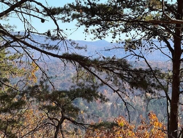 Property Photo:  0 John Call Rd  GA 30175 