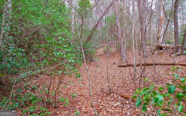 Property Photo: 20 Ac Hidaway Drive GA 30536