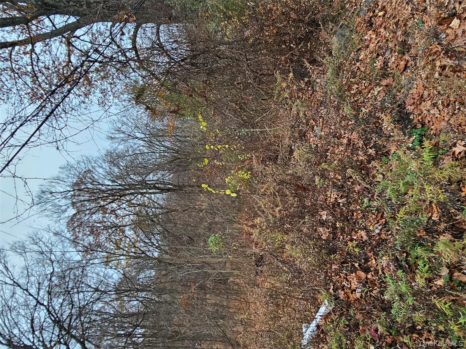 Property Photo: 73 Sylvan Trail NY 10950