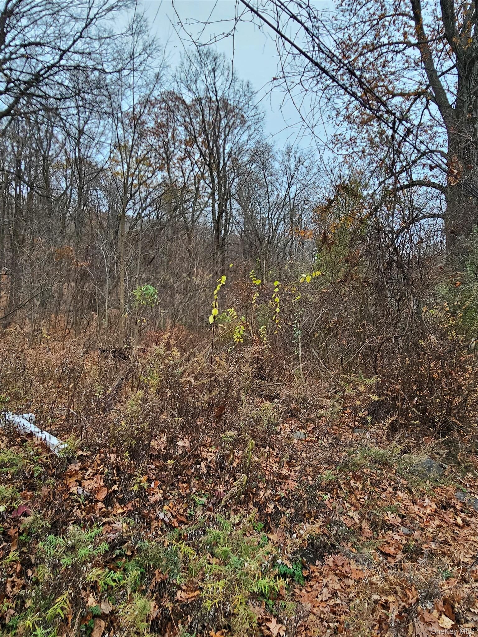Property Photo:  73 Sylvan Trail  NY 10950 