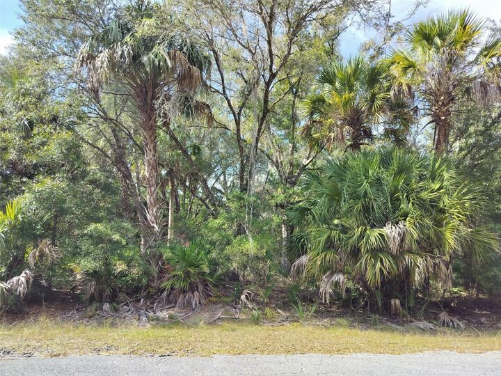 Property Photo:  9999 N Snowball Point  FL 34428 