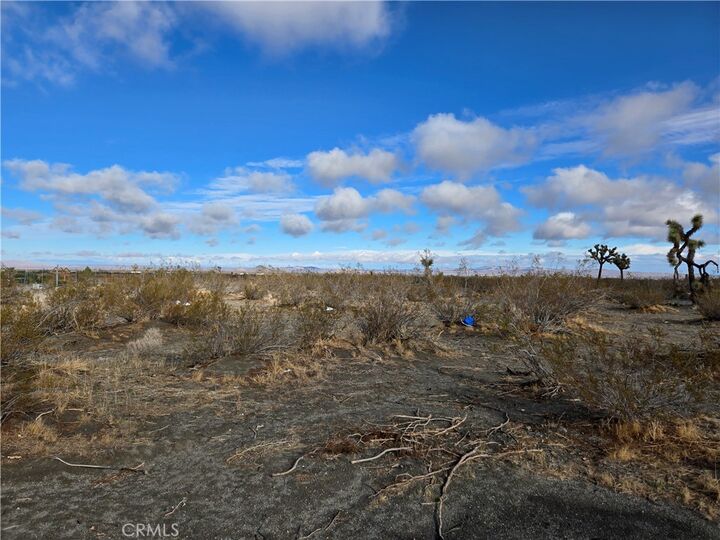 Property Photo:  0 Palmdale Rd 3100-531-01  CA 92372 