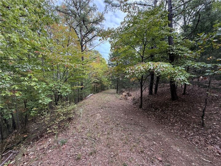 Property Photo:  S Rhodes/ Cr 1022 Drive  AR 72632 