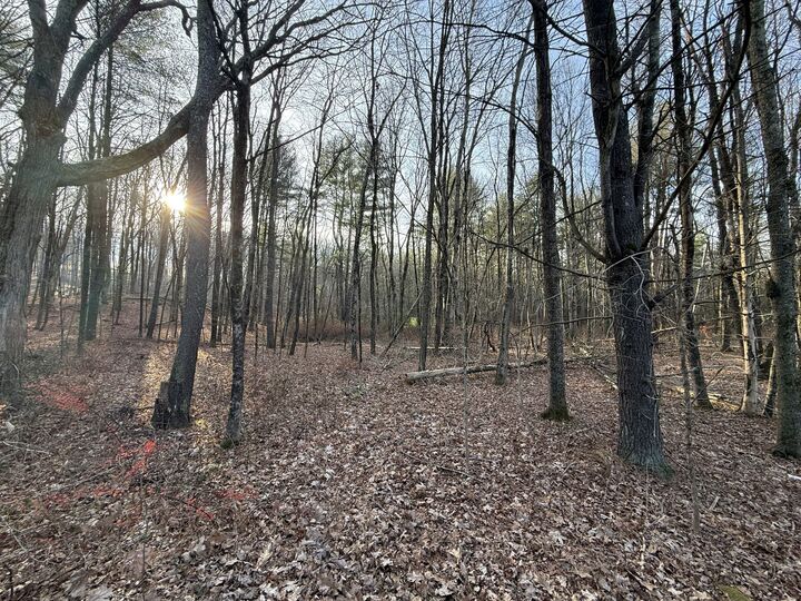 Property Photo:  Chatey Road  CT 06278 