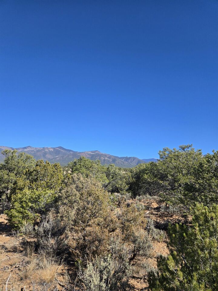 Property Photo:  Tbd Hondo Seco Road  NM 87529 