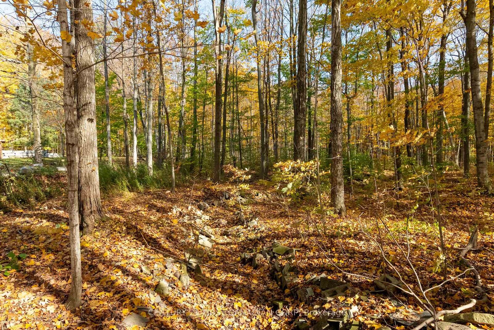 Property Photo:  10771 Melrose Drive  ON N0L 1R0 