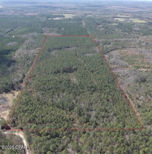 60 Acres Jw Miller Road  Bonifay FL 32425 photo