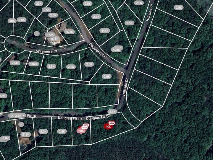 Property Photo:  105 Douglas Fir Drive  GA 30183 