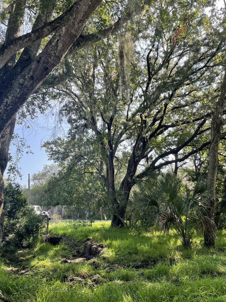 Property Photo:  Madrid St Lot 2  FL 32080 