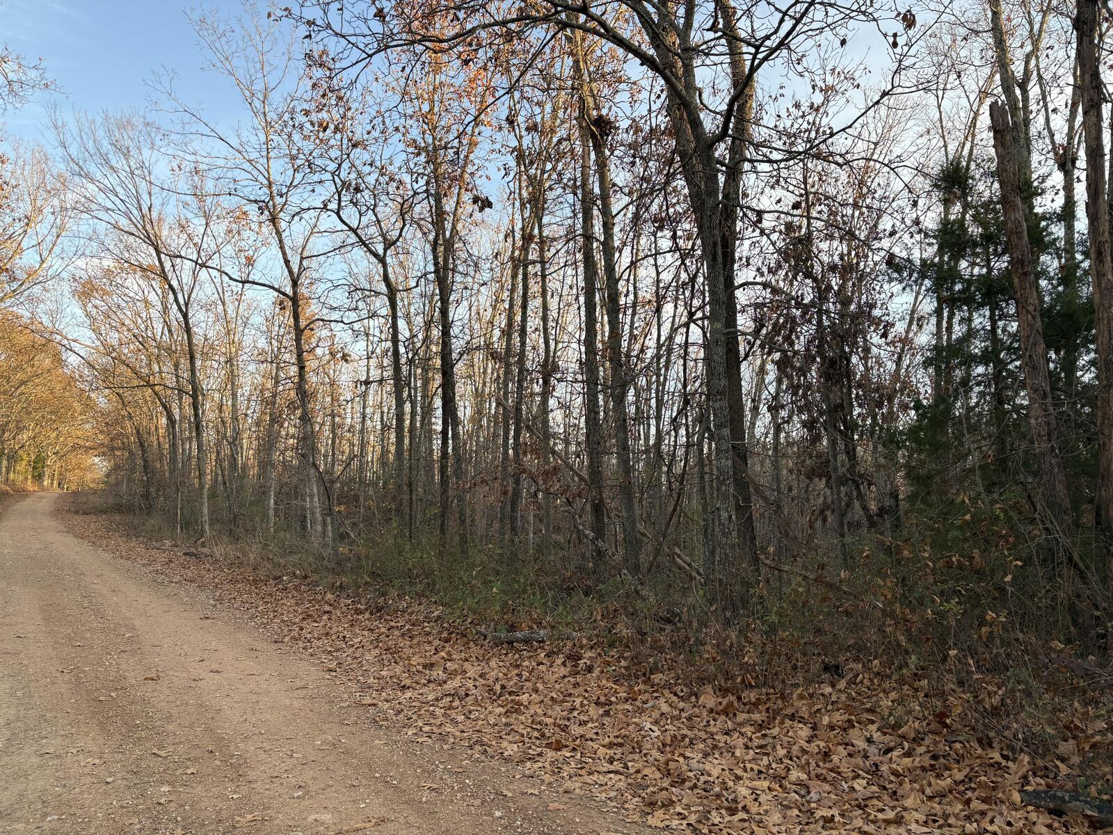 Property Photo:  Tbd Hylton Drive  MO 65717 