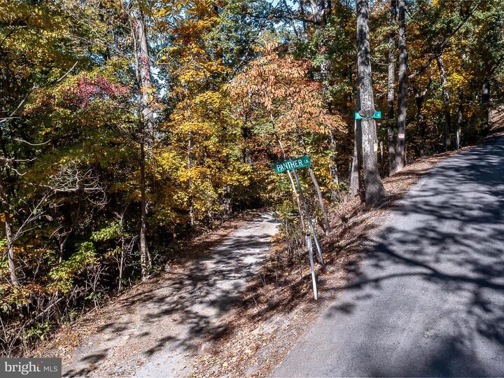 Property Photo: Tuscarora Pike Parcel 13 & 14 WV 25403
