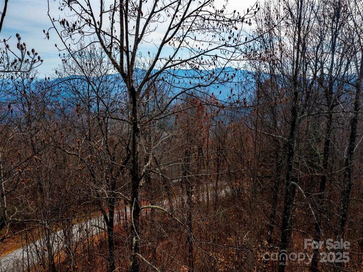 Property Photo:  Lot 253 Haddington Drive  NC 28756 