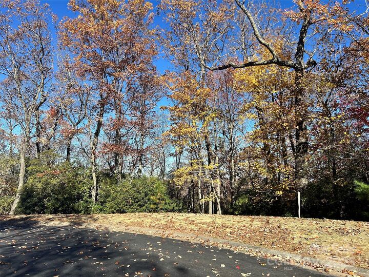 Property Photo:  1114 Mills River Way  NC 28742 