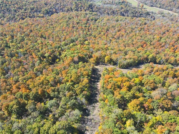 Property Photo:  Cr 935  AR 72616 