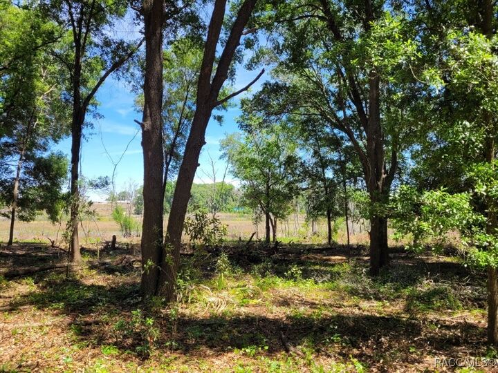 Property Photo: 2514 Eisenhower Street FL 34453