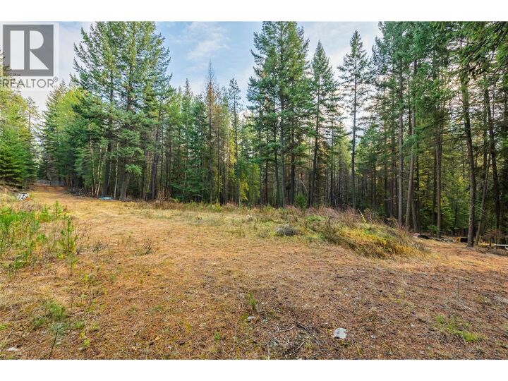 8667 Yahk Settlement Road  Yahk BC V0B 2P0 photo