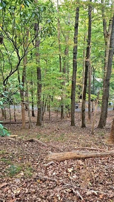 Property Photo:  315 Windflower Drive  GA 30534 