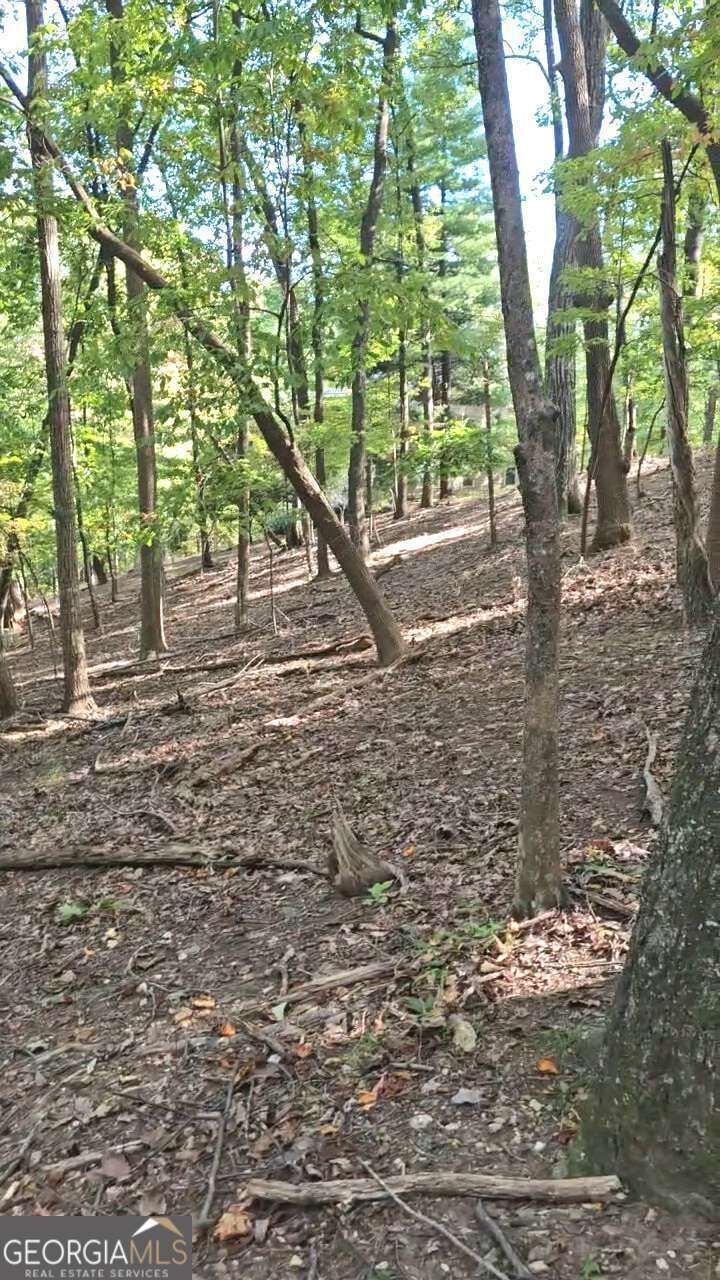 Property Photo:  315 Windflower Drive  GA 30534 