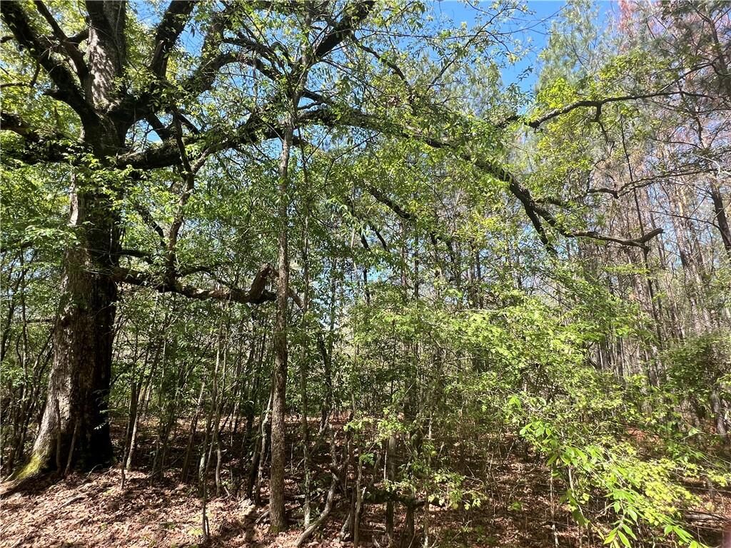 Property Photo: 0 Nation Road LA 71328