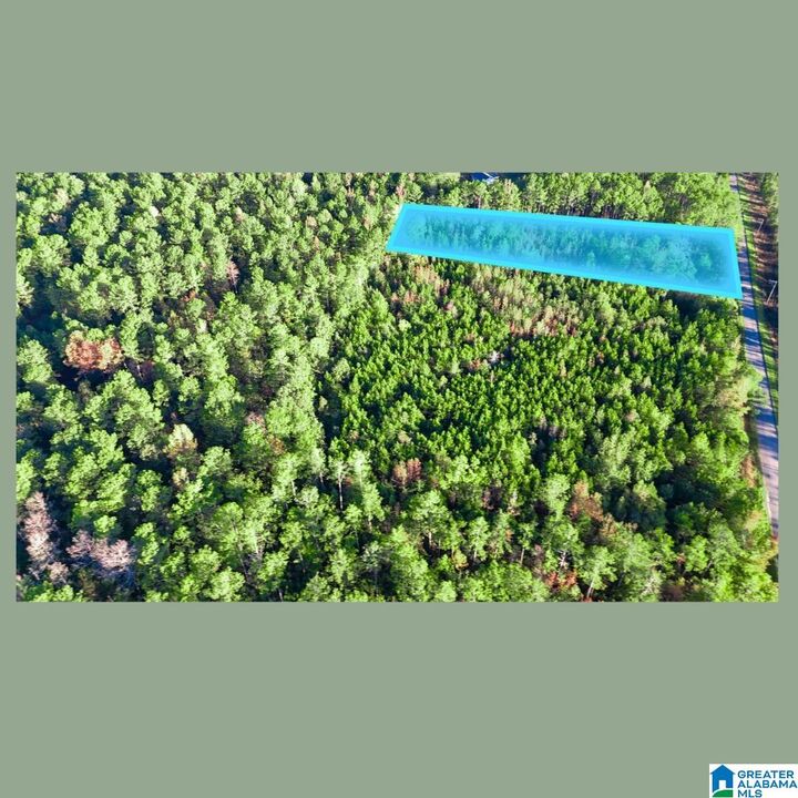Property Photo:  Tract 2A County Road 329 Tract 2A  AL 36278 