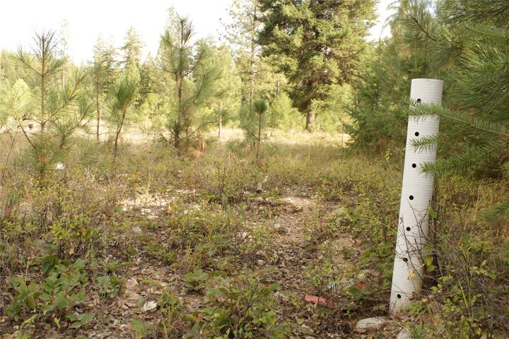 Property Photo:  27603 Issac Creek Road  MT 59846 