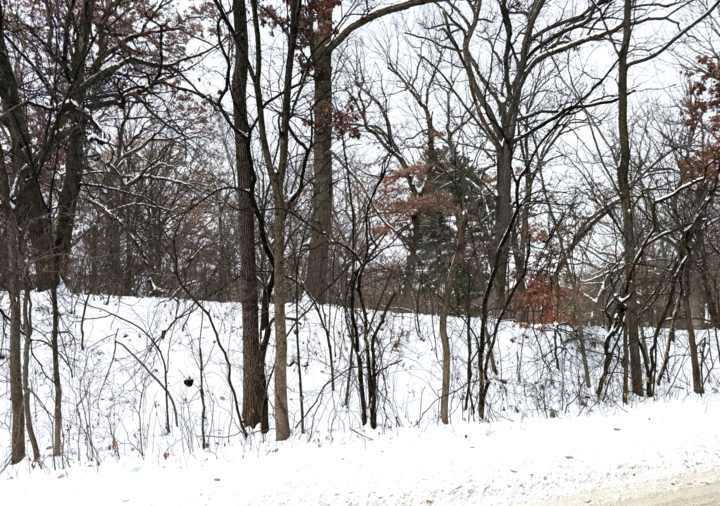 Property Photo: 371 Totem Road MN 55119