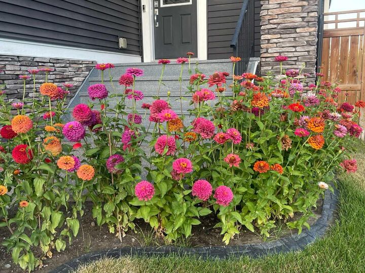 Property Photo:  201 Aspenmere Way  AB T1X 0Y2 