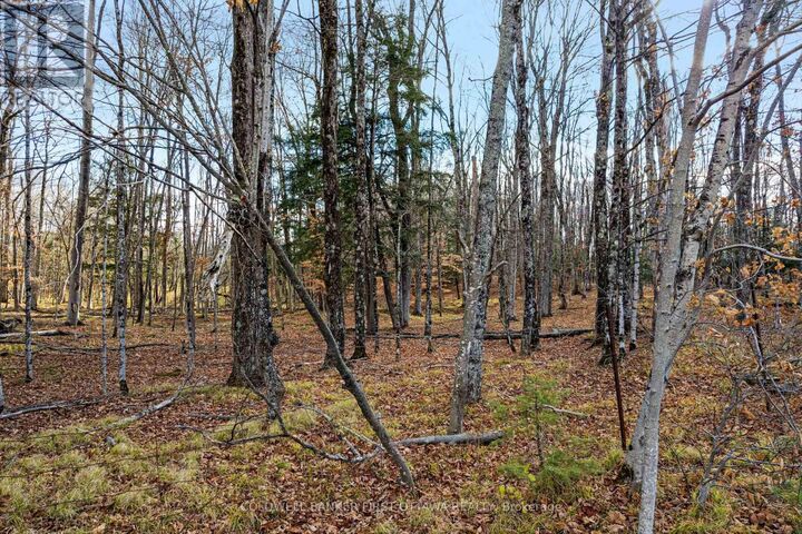 Photo de la propriété:  Pt 1-00 Herron Mills Road  ON K0G 1K0 