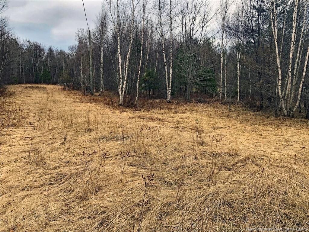 Property Photo:  320 Pleasant Drive  NB  