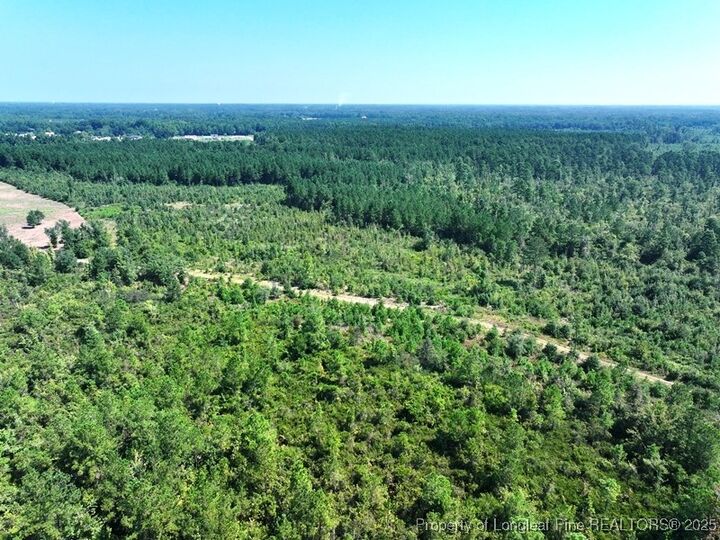 Property Photo:  Tbd Alamac (Off Of) Road  NC 28358 