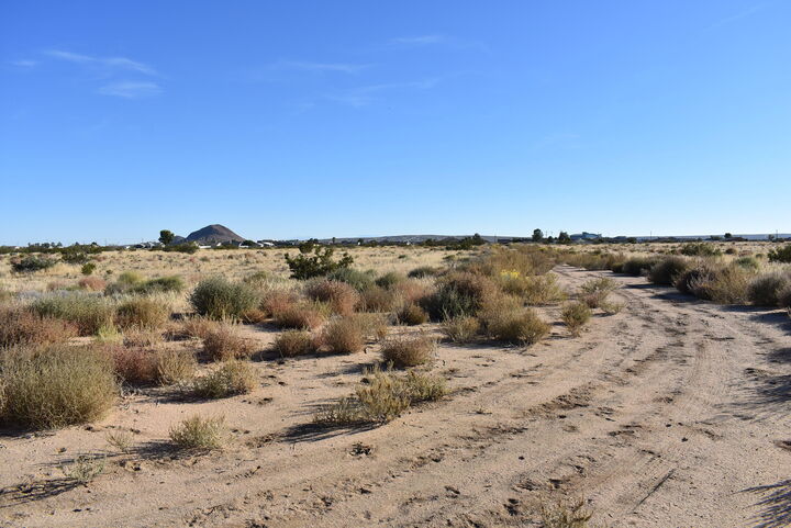 Property Photo: Shaw St &Amp Vic Ironwood Ave CA 93505