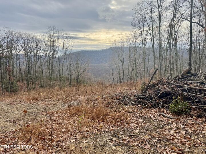 Property Photo:  183 Persimmon Lane  TN 37847 