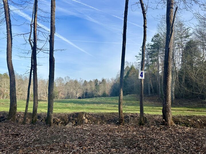 Property Photo:  Lot 4 Radford Road  KY 40729 