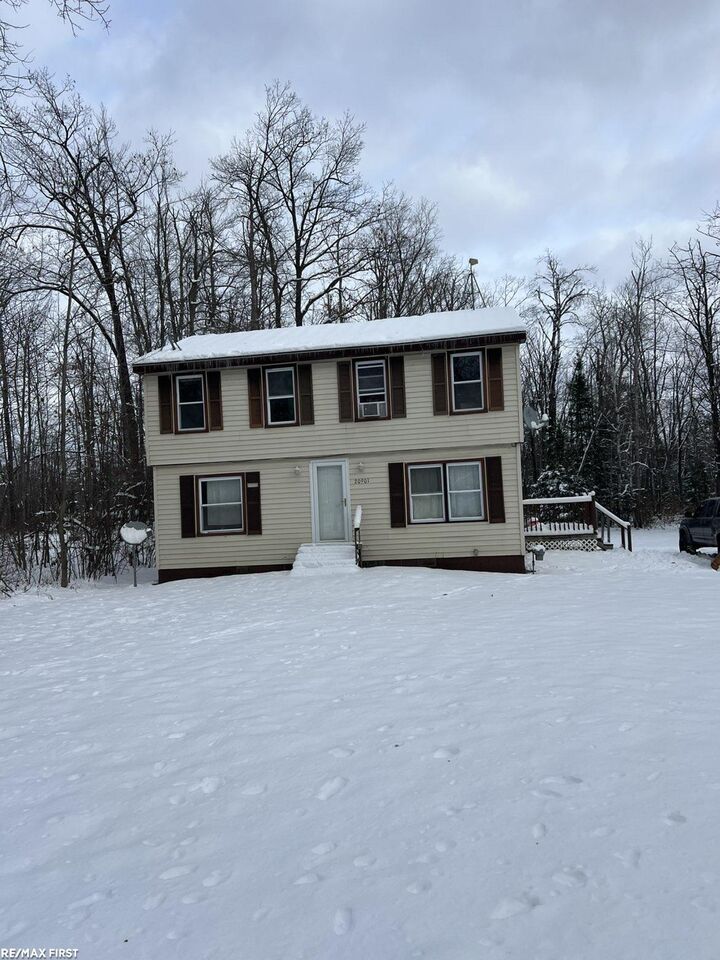 20901 County Road 459 Road  Hillman MI 49746 photo