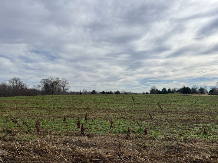 Property Photo: 0 Parkhurst Road TN 37150