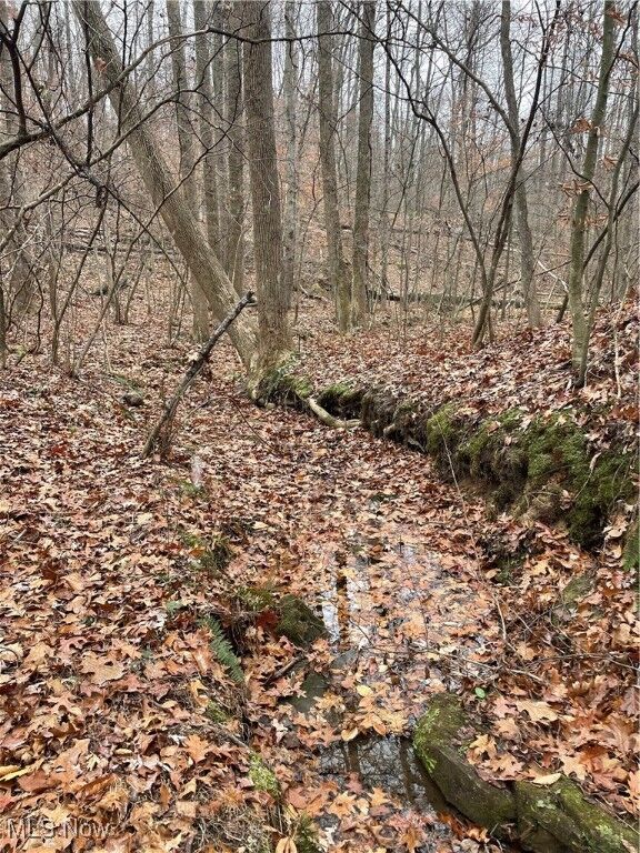 Property Photo: 0 McKee Hill Road OH 43822
