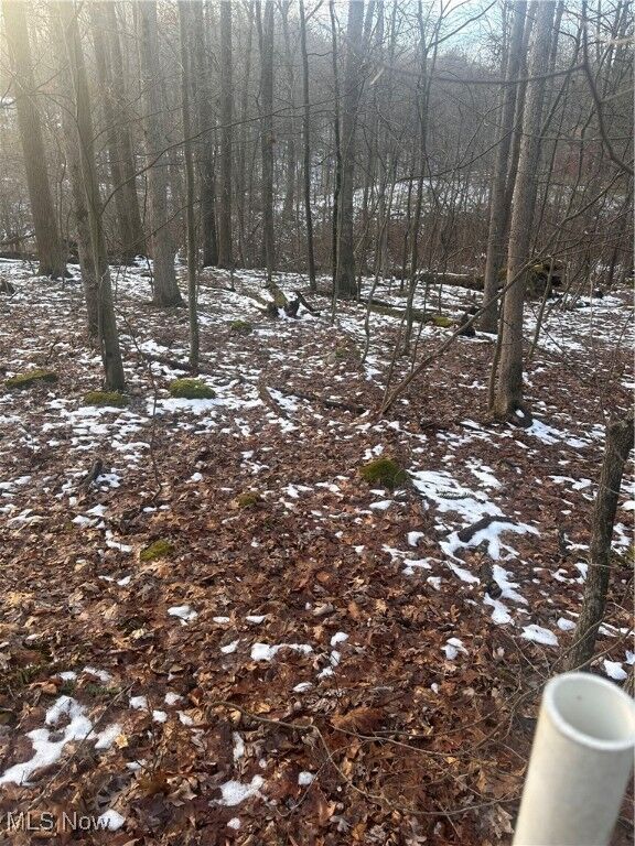 Property Photo: 0 McKee Hill Road OH 43822