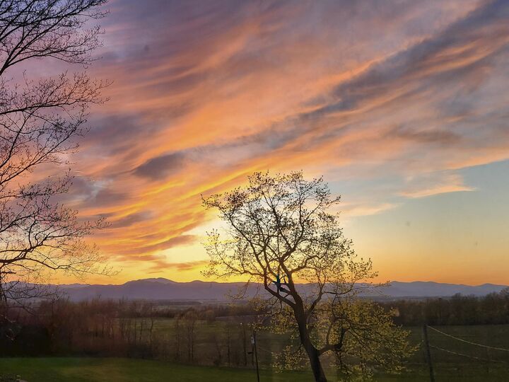 Property Photo:  1513 Mountain Road  VT 05491 