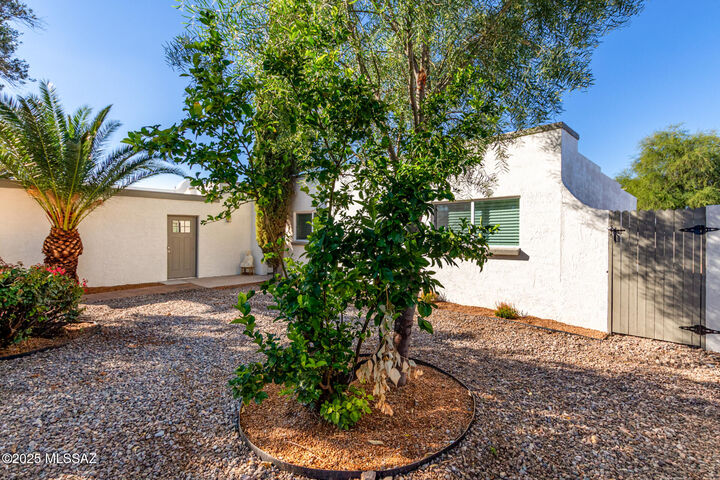 Property Photo: 2418 S Palm Springs Drive AZ 85710