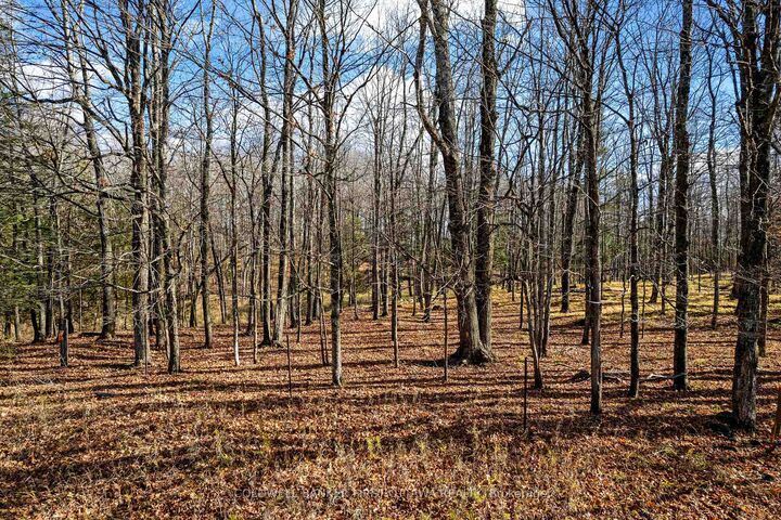 Pt 3-00 Herron Mills Road — photo 1