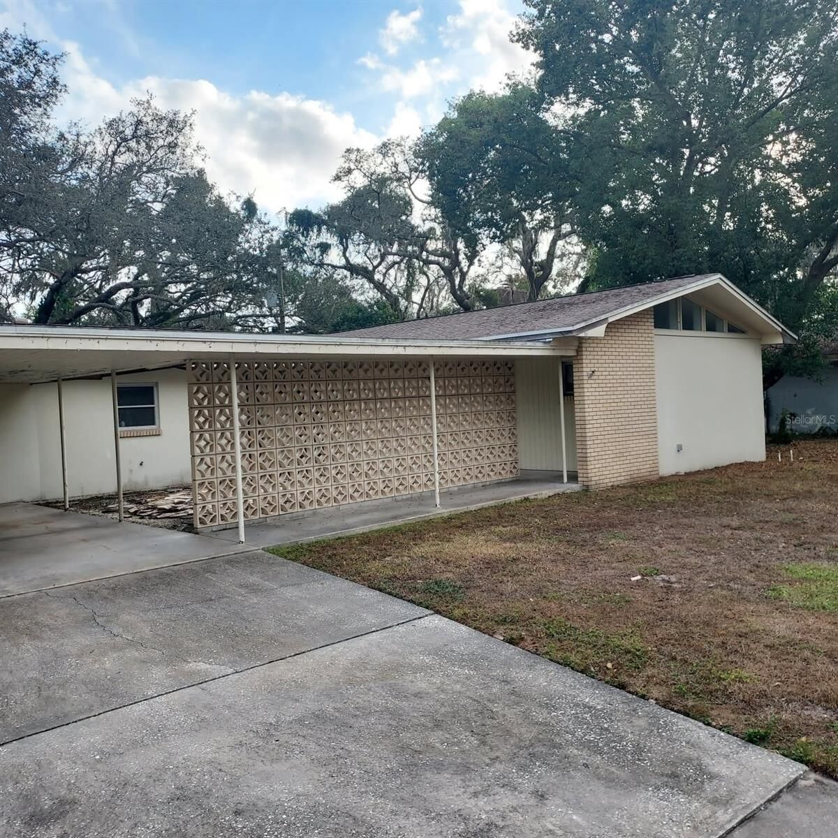 Property Photo:  417 Belle View Avenue  FL 33617 