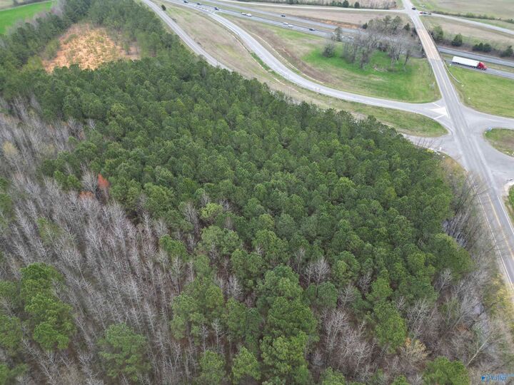 Property Photo:  14 Acres Elkton Road  AL 35620 